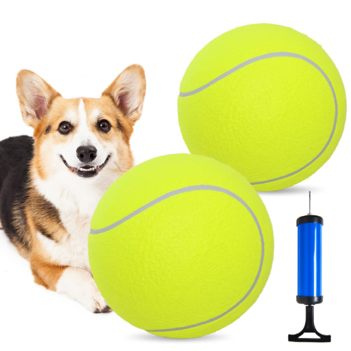 Types of Dog Ball Toys