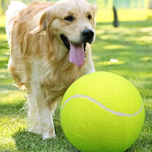 Best Dog Tennis Balls on the Market