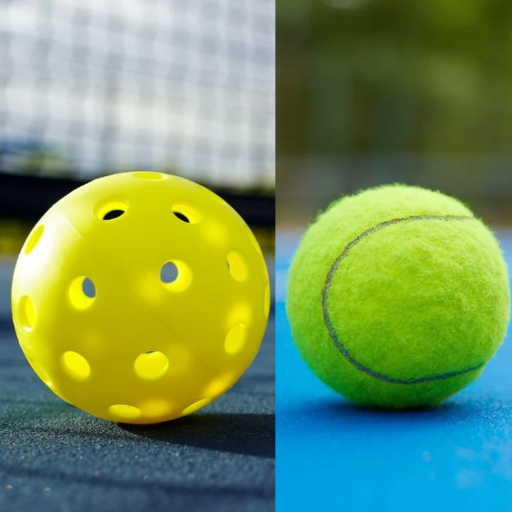 Understanding Court Dimensions