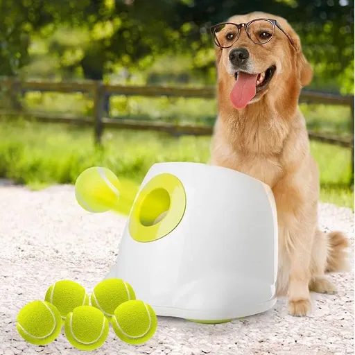 Introduction to Automatic Ball Launchers