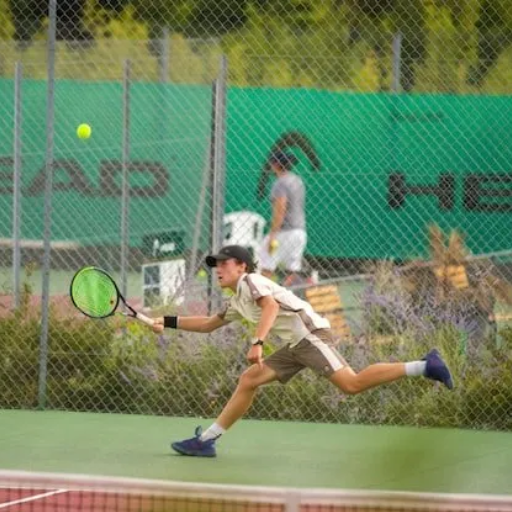 Understanding the Importance of the Net Game