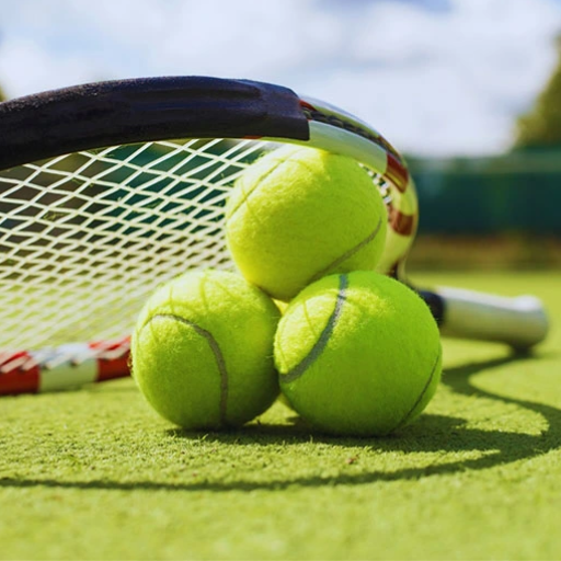 Performance Factors: Speed, Spin, and Durability