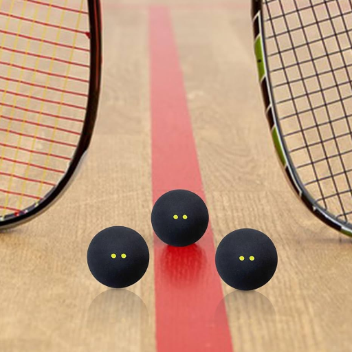 Factors to Consider When Choosing a Squash Ball