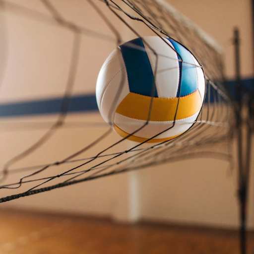 Reviews of the Best Volleyball Training Equipment